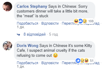 Щасливе місце кота-інтроверта: мережу розчулило зворушливе фото