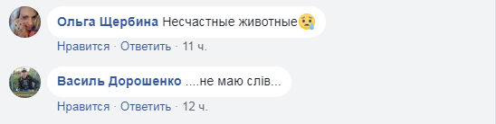 "Не маю слів": морпех зворушив українців кадрами нинішнього повсякденного життя