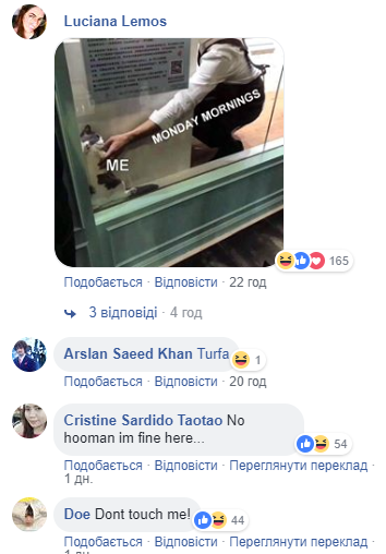 Щасливе місце кота-інтроверта: мережу розчулило зворушливе фото