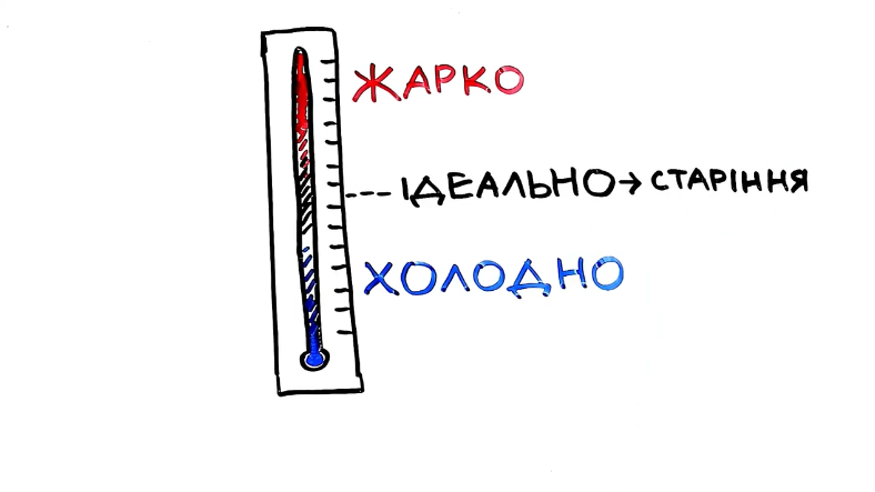 Як стати довгожителем: рецепт відомого патофізіолога