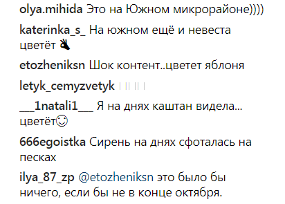 Пока Карпаты засыпает снегом: в Запорожье расцвели яблони (фото)