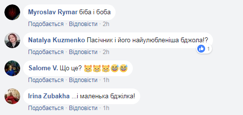 "Жу-жу-жу": радикал Мосийчук в образе "шаленої бджілки" рассмешил сеть