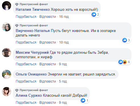 У Харкові в ТРЦ до відвідувачів прибігло левеня: момент потрапив на відео