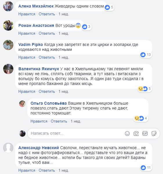 В мережі обурені жорстоким поводженням з тигреням в одеському біопарку (відео)