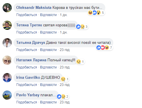 &quot;Свята корова&quot;: соцмережу &quot;порвав&quot; вірш про нещасну росіянку, &quot;укрів&quot; та огрядних &quot;гейропейців&quot;