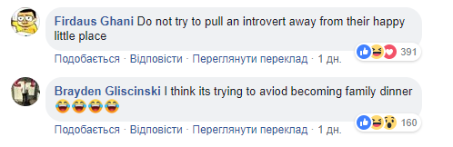 Щасливе місце кота-інтроверта: мережу розчулило зворушливе фото
