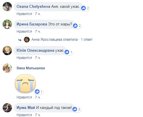 &quot;И каждый год такое!&quot; Украинцев предупредили о массовом море рыбы в Мариуполе (видео)