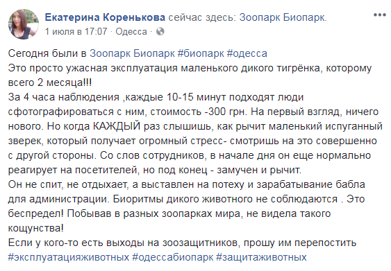 В сети возмущены жестоким обращением с тигренком в одесском биопарке (видео)