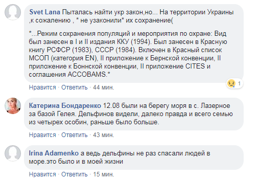 &quot;Еще рядом с ними плавал в июле&quot;: в сети показали незаконный вылов дельфинов в Черном море