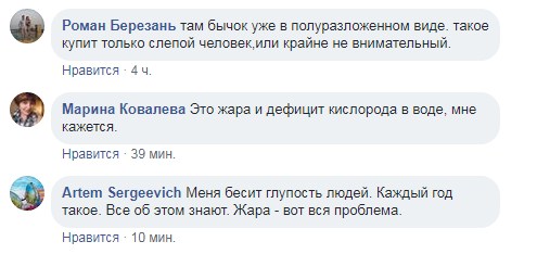 &quot;И каждый год такое!&quot; Украинцев предупредили о массовом море рыбы в Мариуполе (видео)