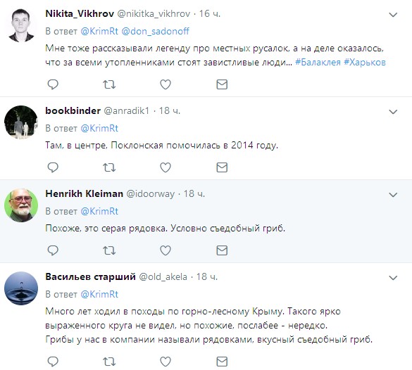 &quot;Лесные духи водят хороводы&quot;: в Крыму запечатлели странное явление (фото)