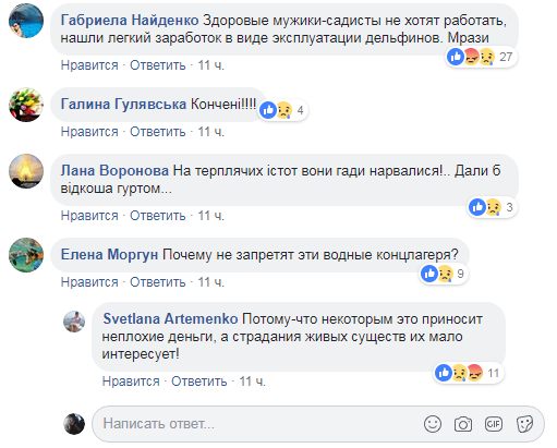 &quot;Еще рядом с ними плавал в июле&quot;: в сети показали незаконный вылов дельфинов в Черном море