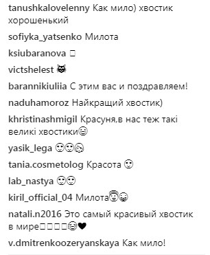 Скриншот комментариев поста аккаунта instagram.com/lennykravets "Первый хвостик": чем похвасталась Елена Кравец после рождения двойни