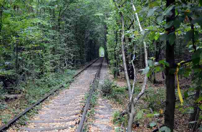 Знаменитий український "Тунель кохання" буде платним