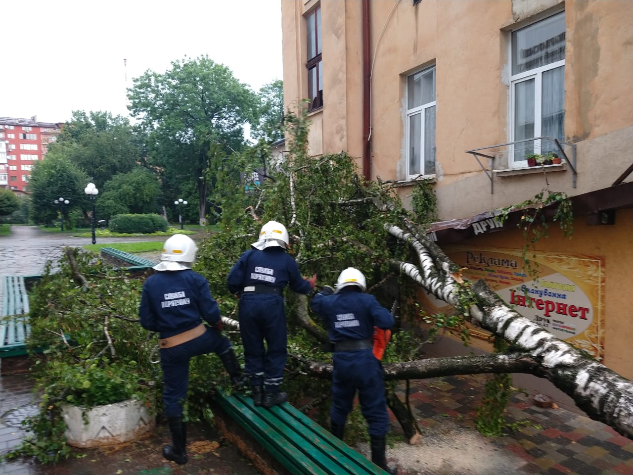 В Ивано-Франковске из-за сильного ветра и ливня падали деревья: одно рухнуло на подъезд