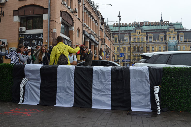 "Зебра лучше, чем венок": киевляне требуют легализовать пешеходный переход на Бессарабке