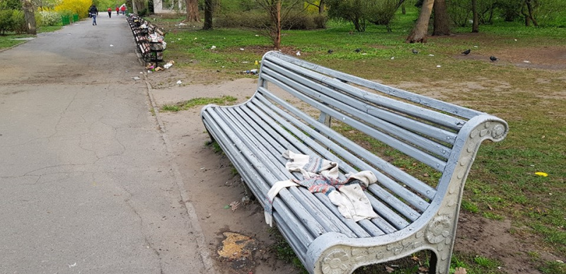 Приходили смотреть на магнолии: в сети показали свалку в киевском ботсаду (фото)