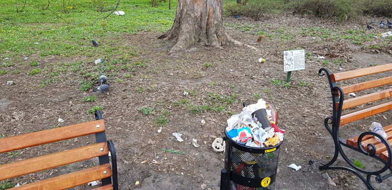 Приходили смотреть на магнолии: в сети показали свалку в киевском ботсаду (фото)