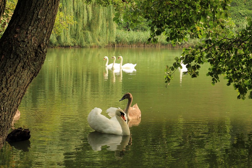 Пригода на вікенд: п'ять цікавих маршрутів вихідного дня по Україні