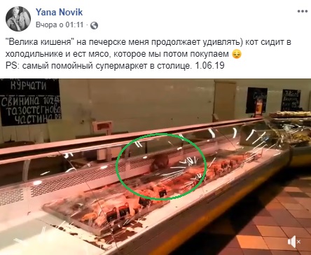 Прямо на вітрині: в супермаркеті Києва кота застали за "цікавим" заняттям (відео)