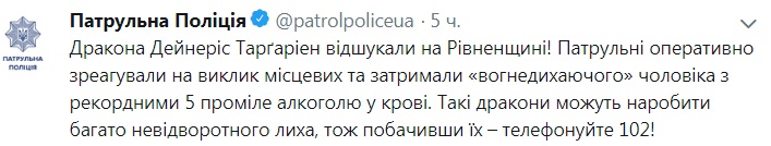 Такі дракони можуть наробити багато лиха: під Рівно затримали п'яного водія
