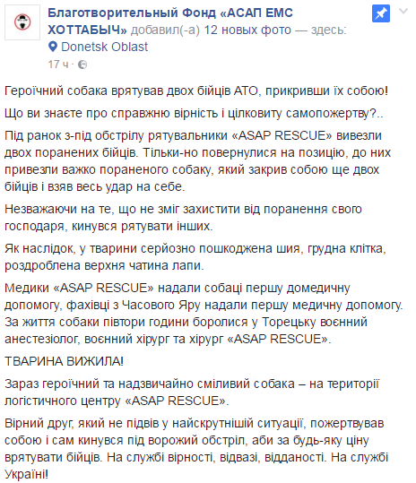 Пес Рекс, який врятував життя бійцям АТО, зворушив соцмережі