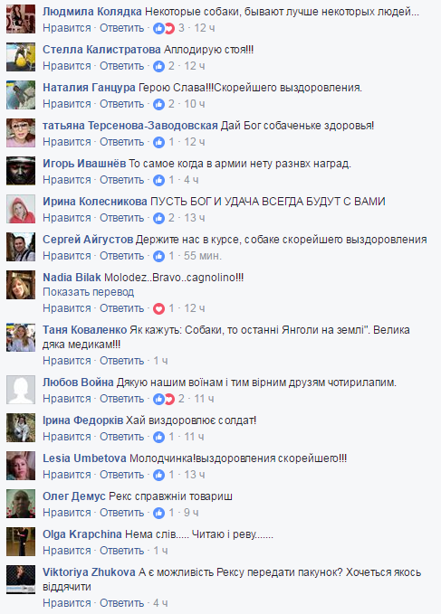 Пес Рекс, який врятував життя бійцям АТО, зворушив соцмережі