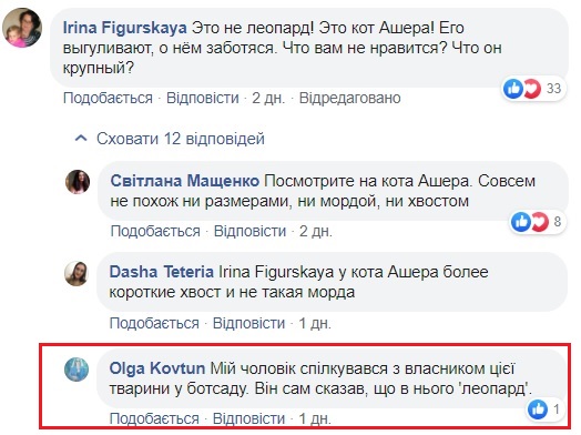 Вулицями Києва гуляв леопард: інцидент отримав продовження