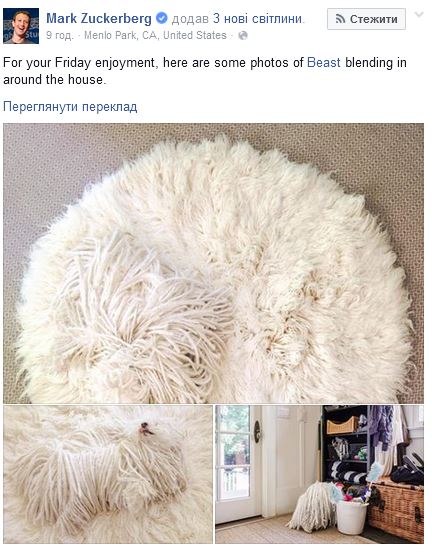 Пост Цукерберга про Бист