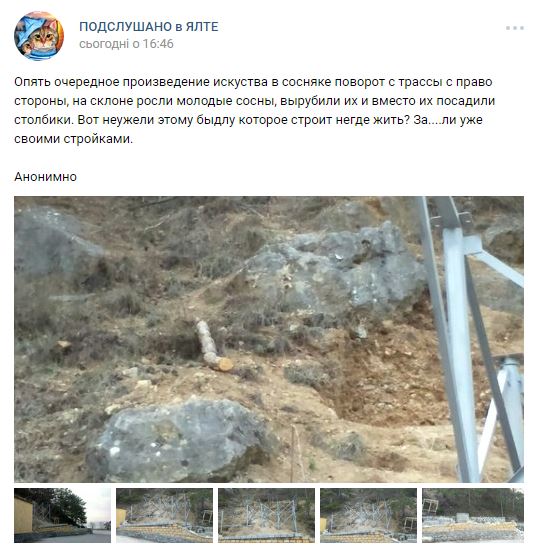 У Ялті окупанти масово вирубують дерева