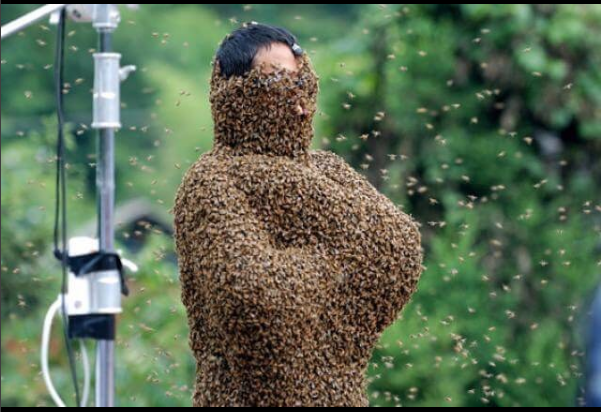 Райан Мерфи опубликовал еще одну безумную подсказку к 7 сезону "Американской истории ужасов"