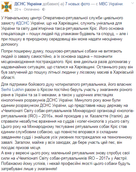 В мережі з’явилися фото маленької собаки-рятувальника