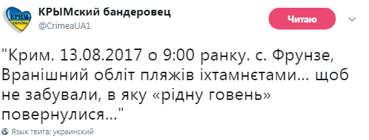 У Криму над пляжами кружляють військові літаки: опубліковано фото