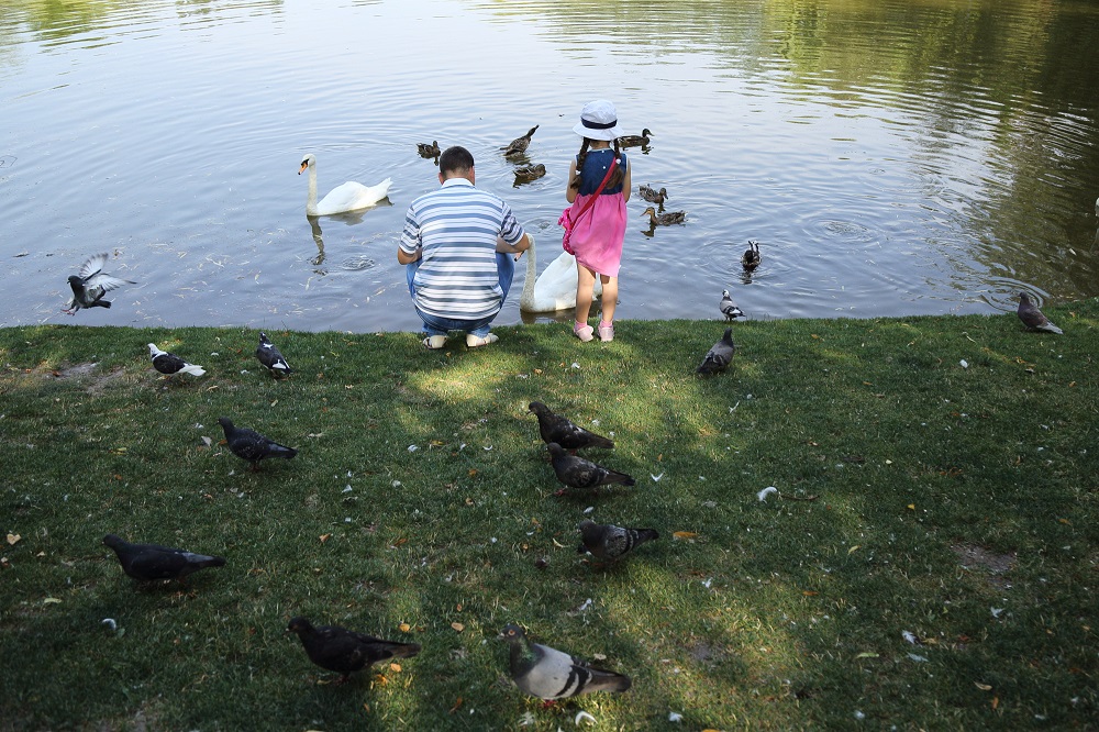 Лебединое озеро на ВДНХ