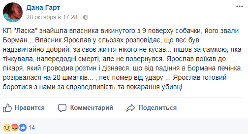 В мережі розповіли про собаку з Луцьку, якого викинули з дев’ятого поверху