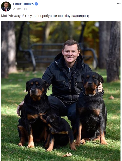 "Мои чихуахуа хотят попробовать": Ляшко эффектно "пригрозил" Тимошенко