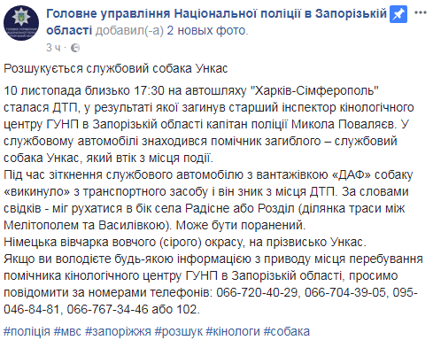 Може бути поранений: в Запорізькій області розшукують службового собаку Ункаса