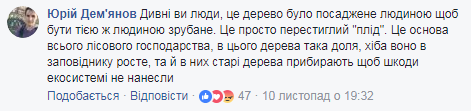 Киевляне не хотят, чтобы рубили "живое" дерево на главную елку страны