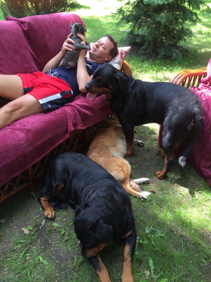 Ляшко показал всю свою мохнатую семью в сборе олег ляшко фото животные собаки