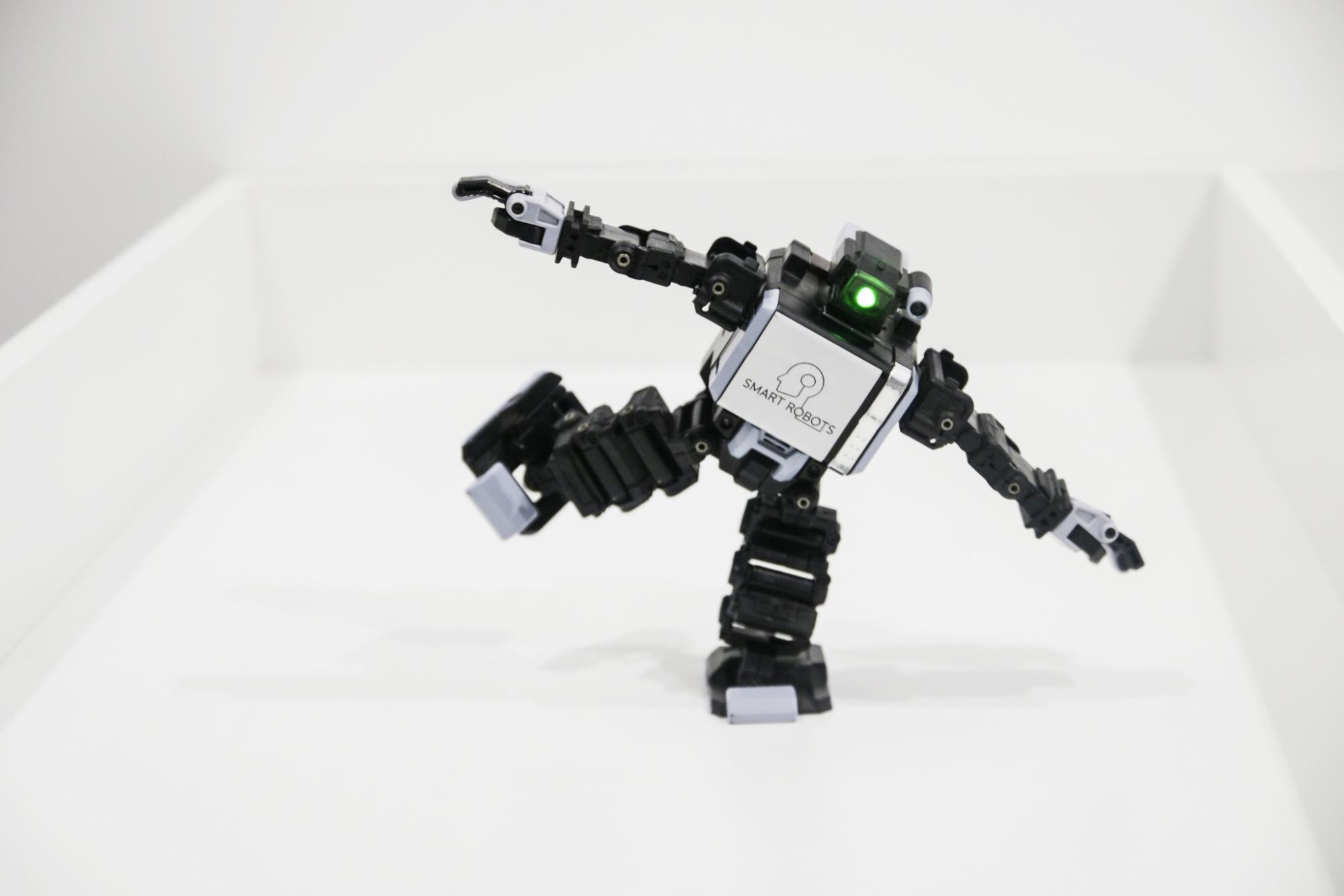 Київський ВДНГ перетворять на парк зимових розваг