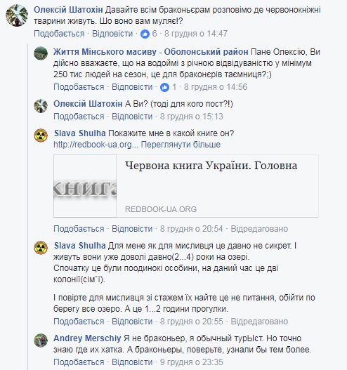 "Осторожно, атака бобров": киевлян предупредили о "банде" грызунов