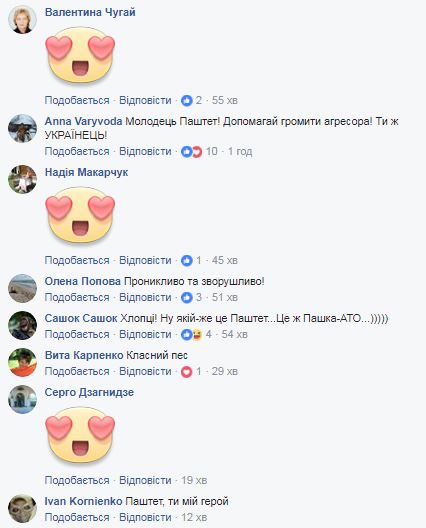 Воюет неофициально: в сети показали необычного украинского "бойца" из Авдеевки