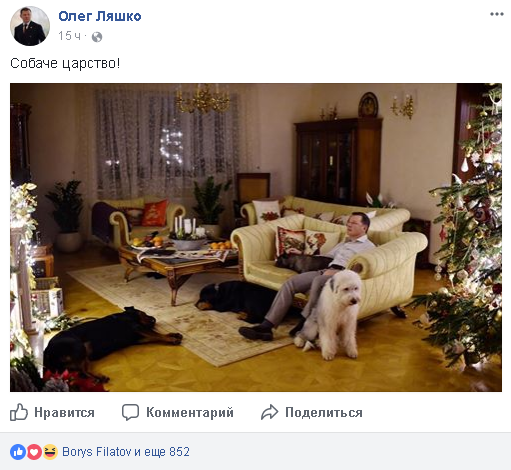 Собаки, эльфы и шампанское: как политики встретили Новый год 2018