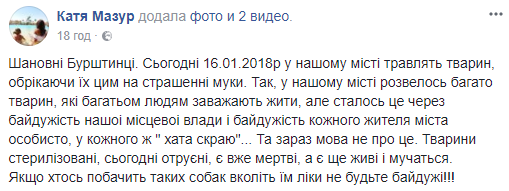 "Нема оправдання": в Івано-Франківській області жорстоко потруїли собак (відео)