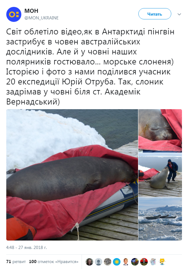 Украинские полярники обнаружили в своей лодке морского слона (фото)