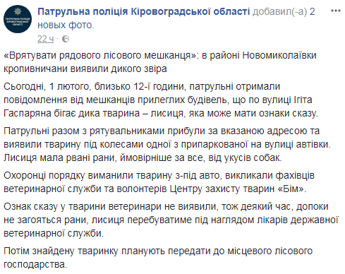 В Кропивницькому під колесами авто виявили поранену дику тварину