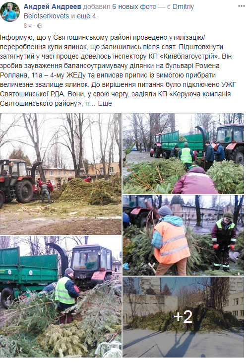 "Зелена справа": у Києві похвалилися утилізацією гори ялинок (фото)