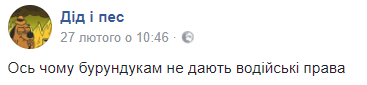 "Бурундукам не дают водительские права": сеть взбудоражило забавное видео с "необычным" водителем
