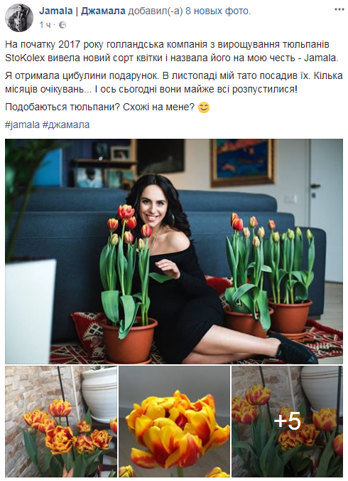 "Похожи на меня?": в честь Джамалы в Нидерландах вывели новый сорт тюльпанов (фото)