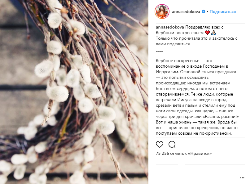 Вербное воскресенье 2018: украинские звезды поздравили страну с праздником (фото)